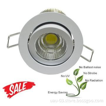 LED Down Light, 12W LED Down Light